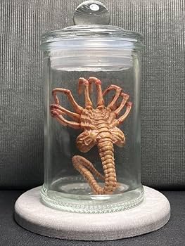 Amazon.co.jp: エイリアン フェイスハガー 培養タンク ホルマリン漬け Amazon.co.jp: エイリアン フェイスハガー 培養タンク ホルマリン漬け